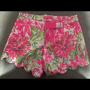 Lilly Pulitzer Koala me Maybe Buttercups